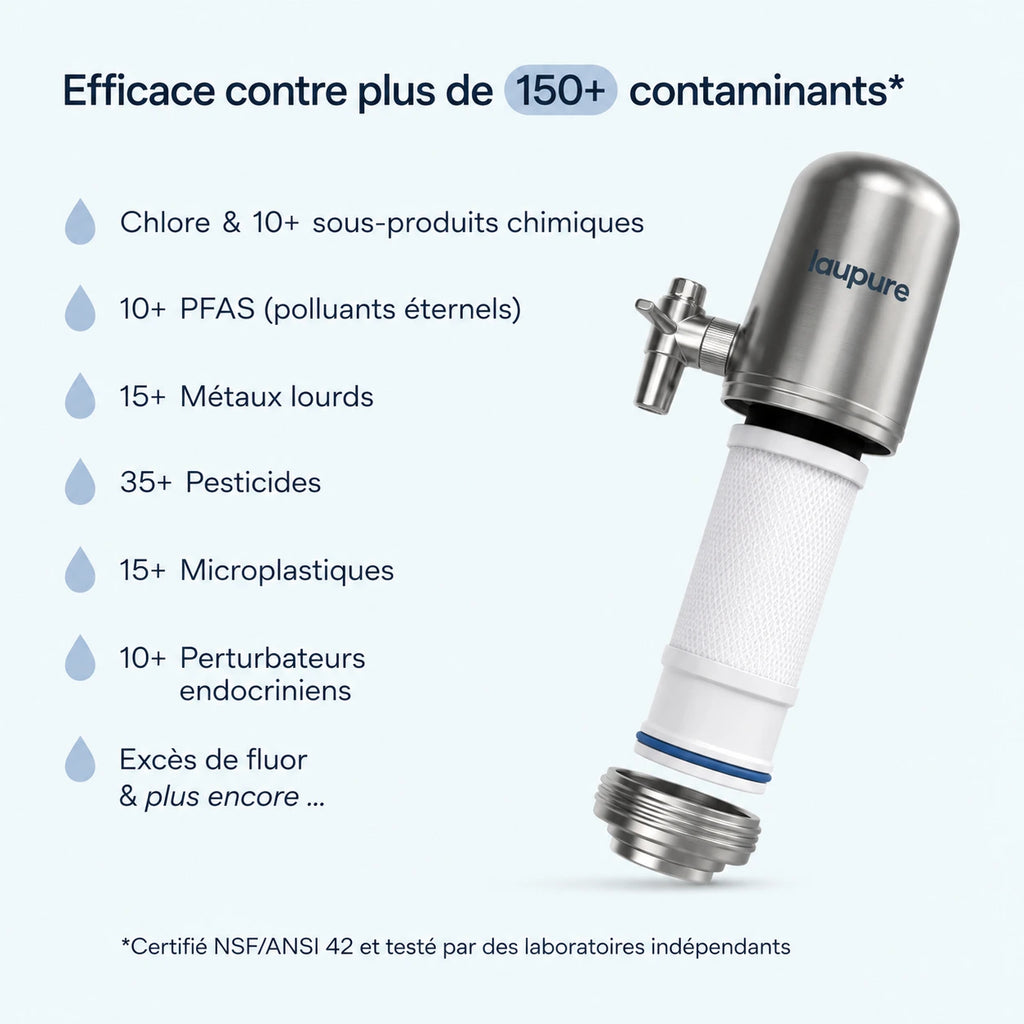 Filtre à robinet en acier inoxydable